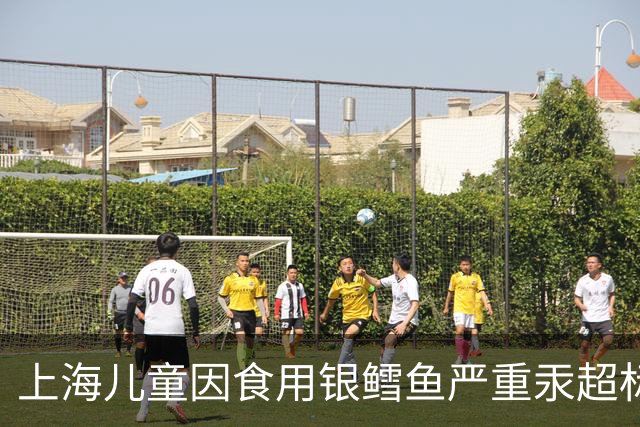 上海儿童因食用银鳕鱼严重汞超标，相关产品已去除“儿童”标识